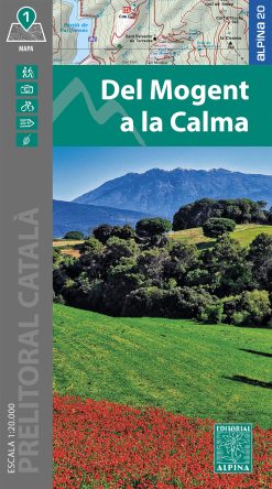 DEL MOGENT A LA CALMA